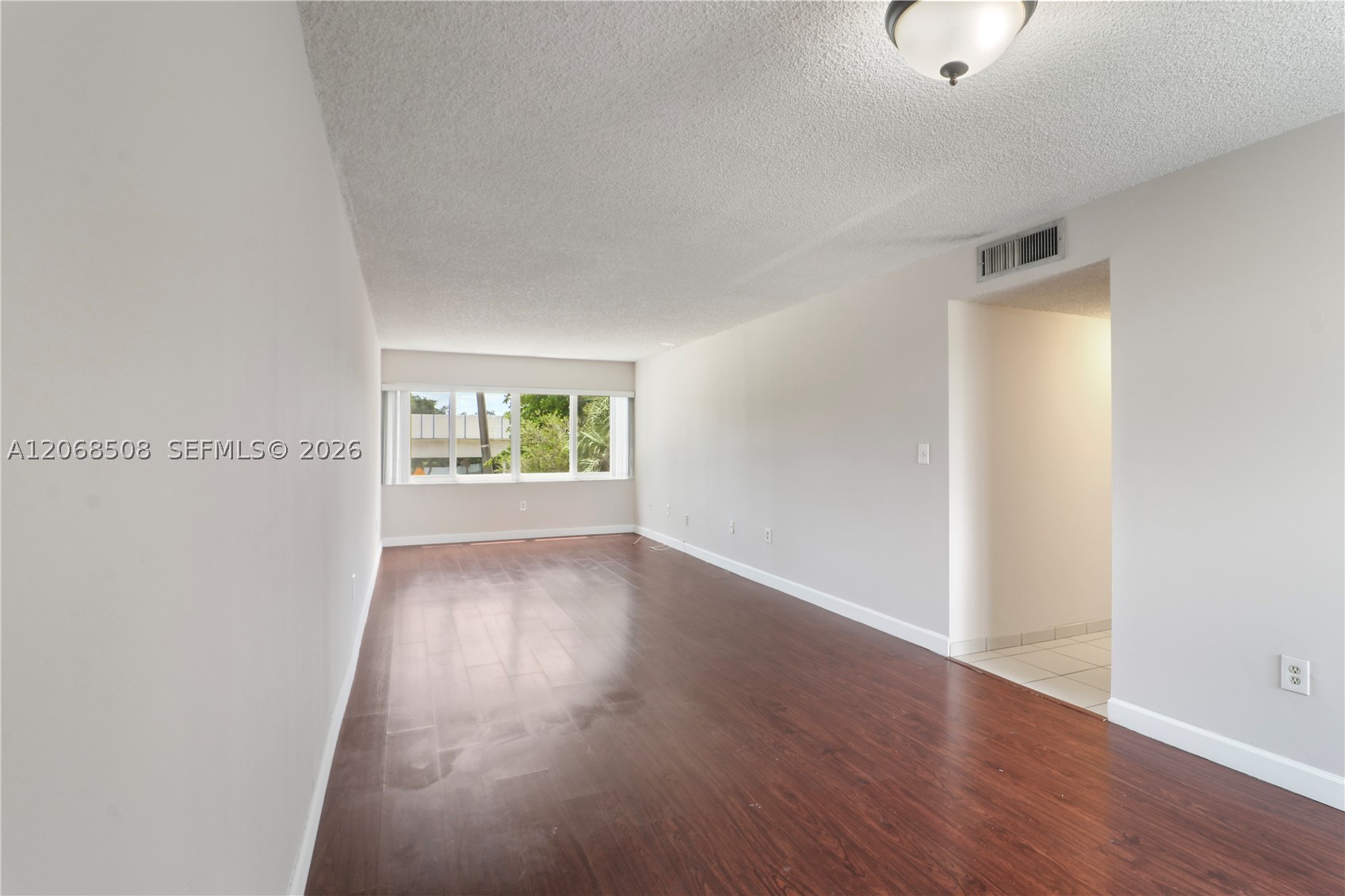Miami photo 2