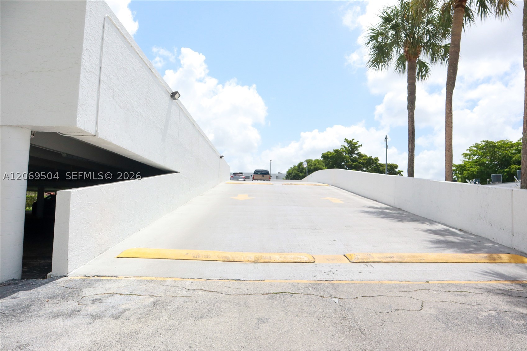 Miami photo 3