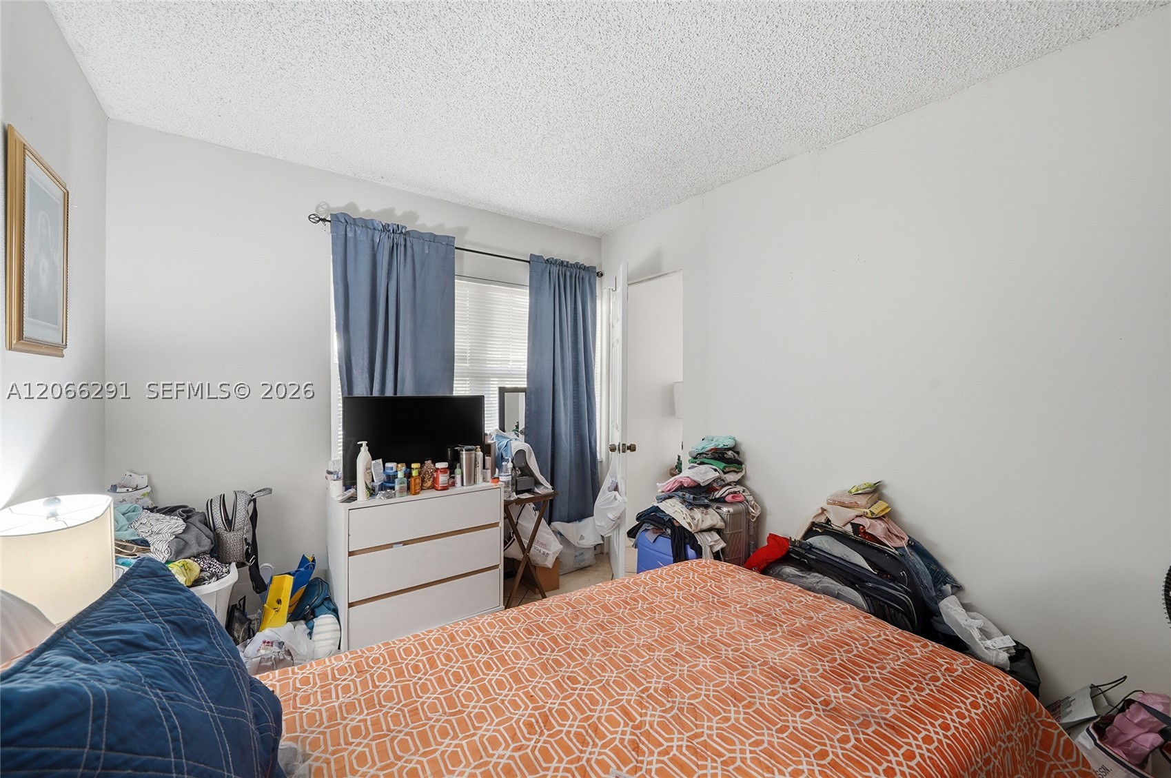 Hialeah photo 5