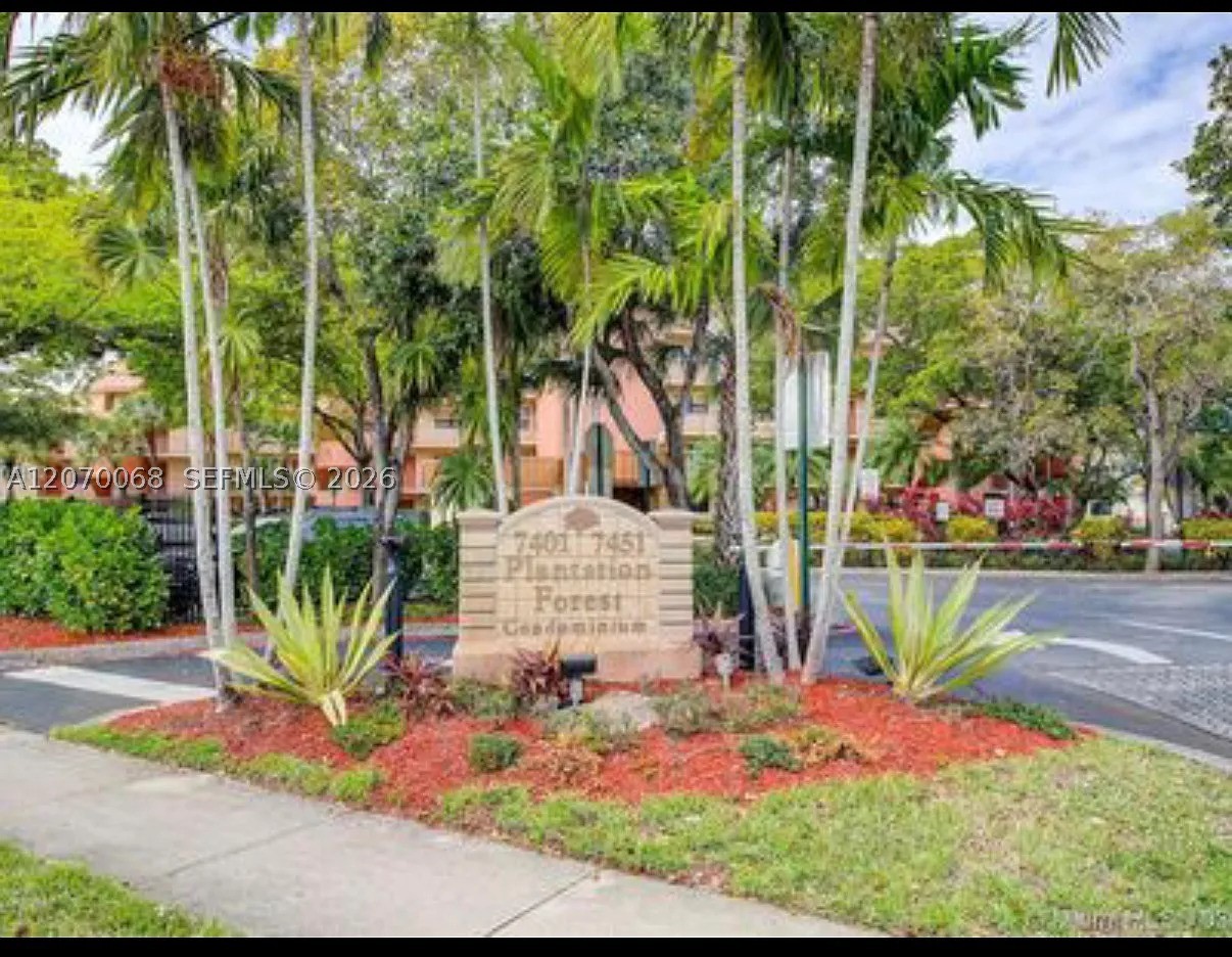 Plantation photo 3