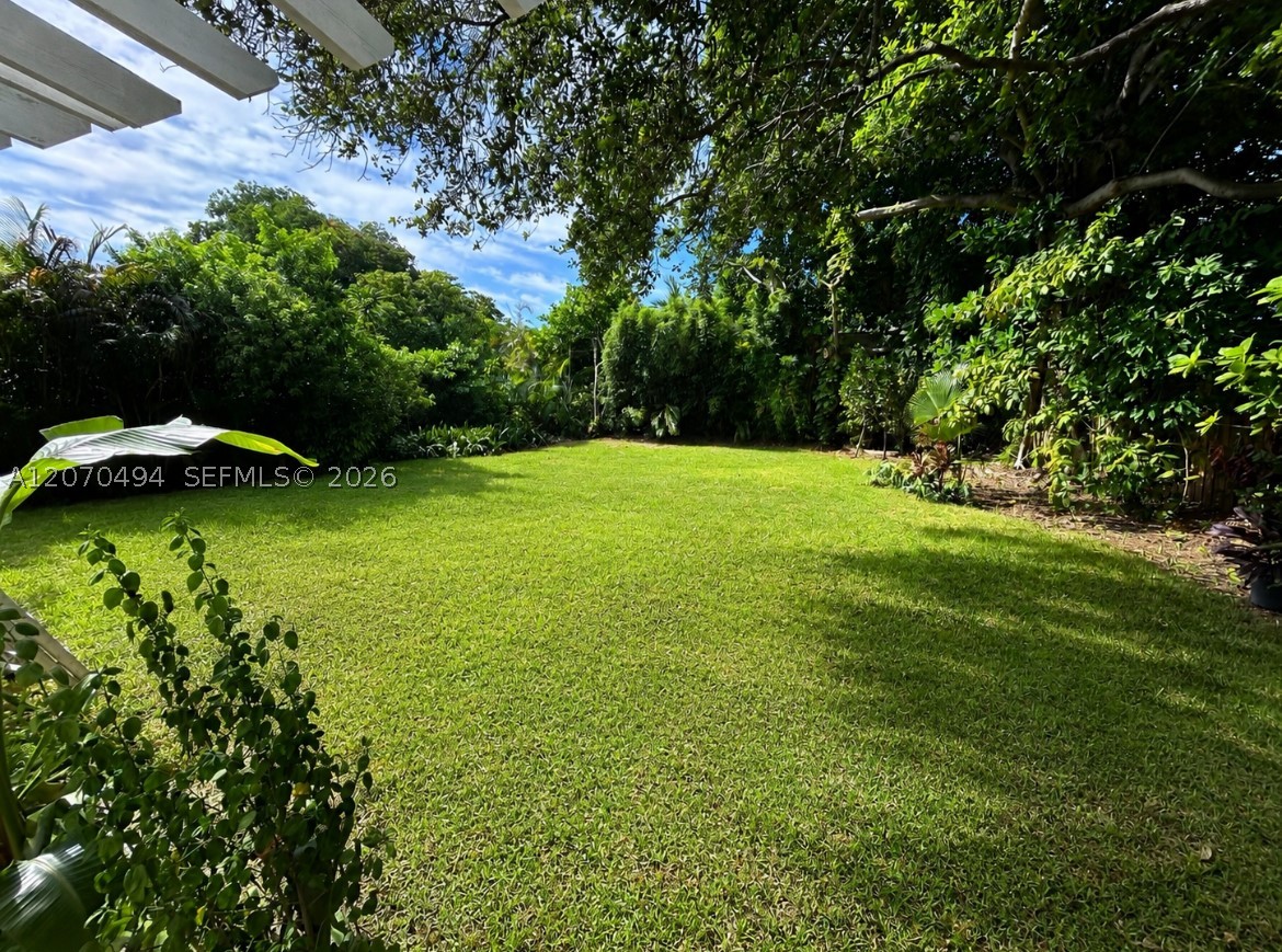 North Miami photo 3