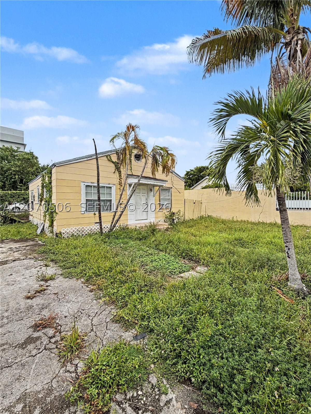 Miami photo 4