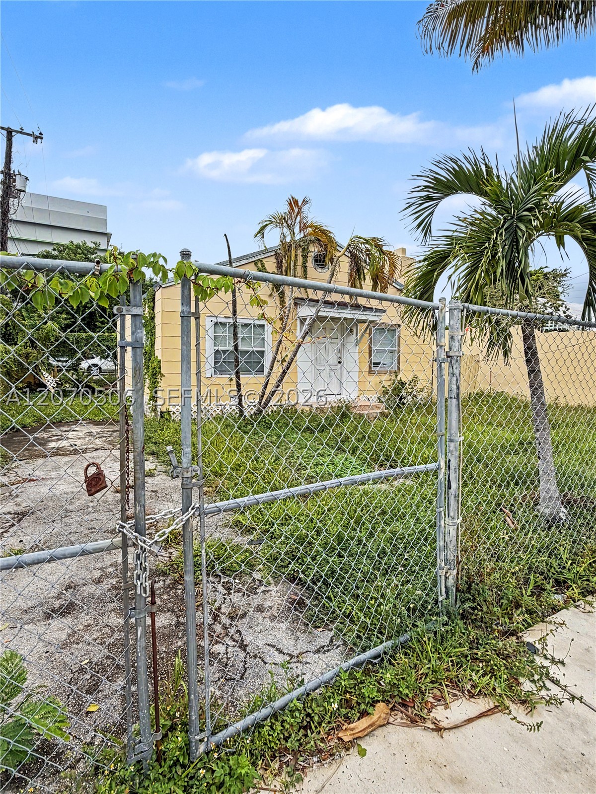 Miami photo 5