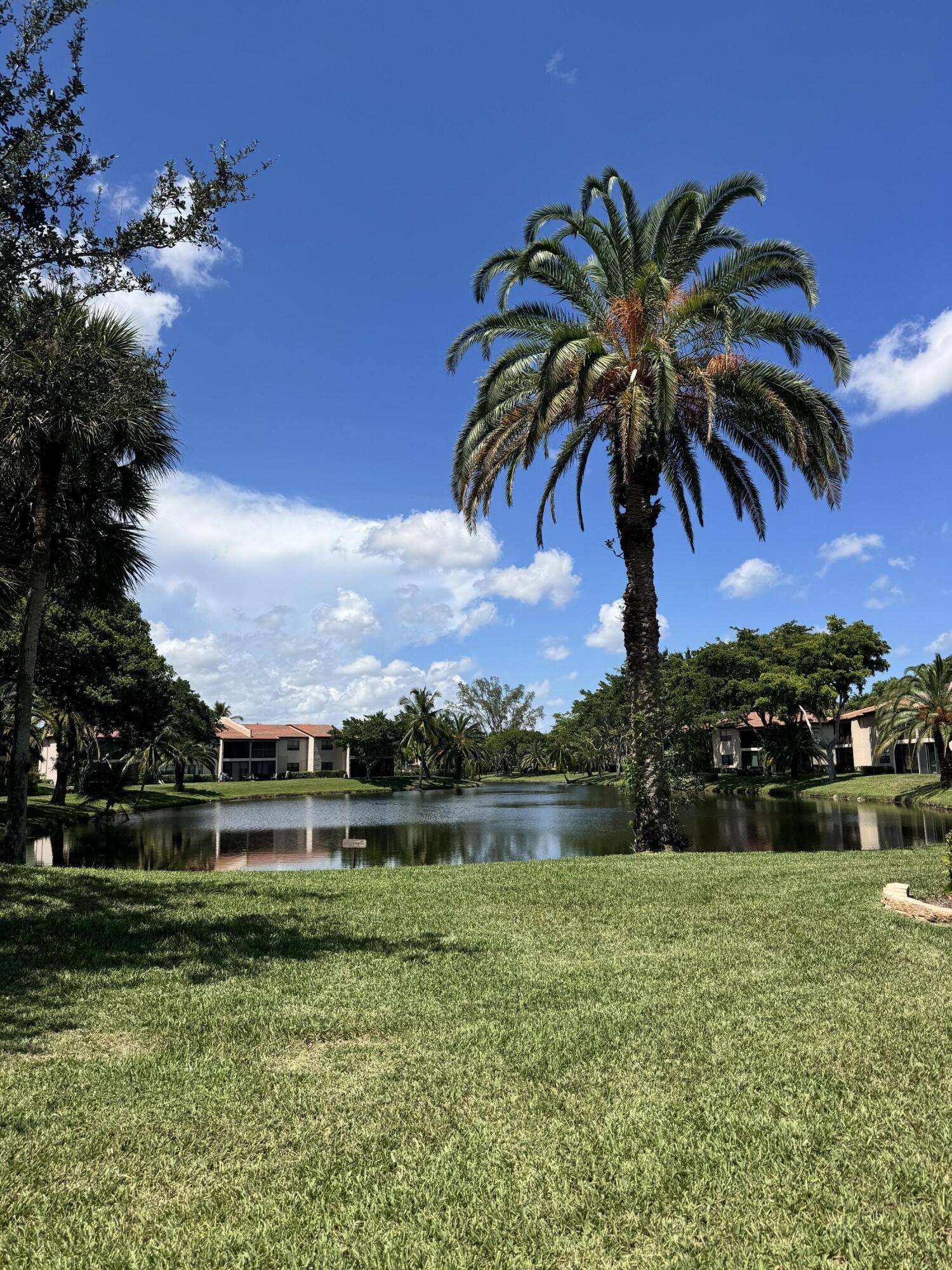 Boca Raton photo 4