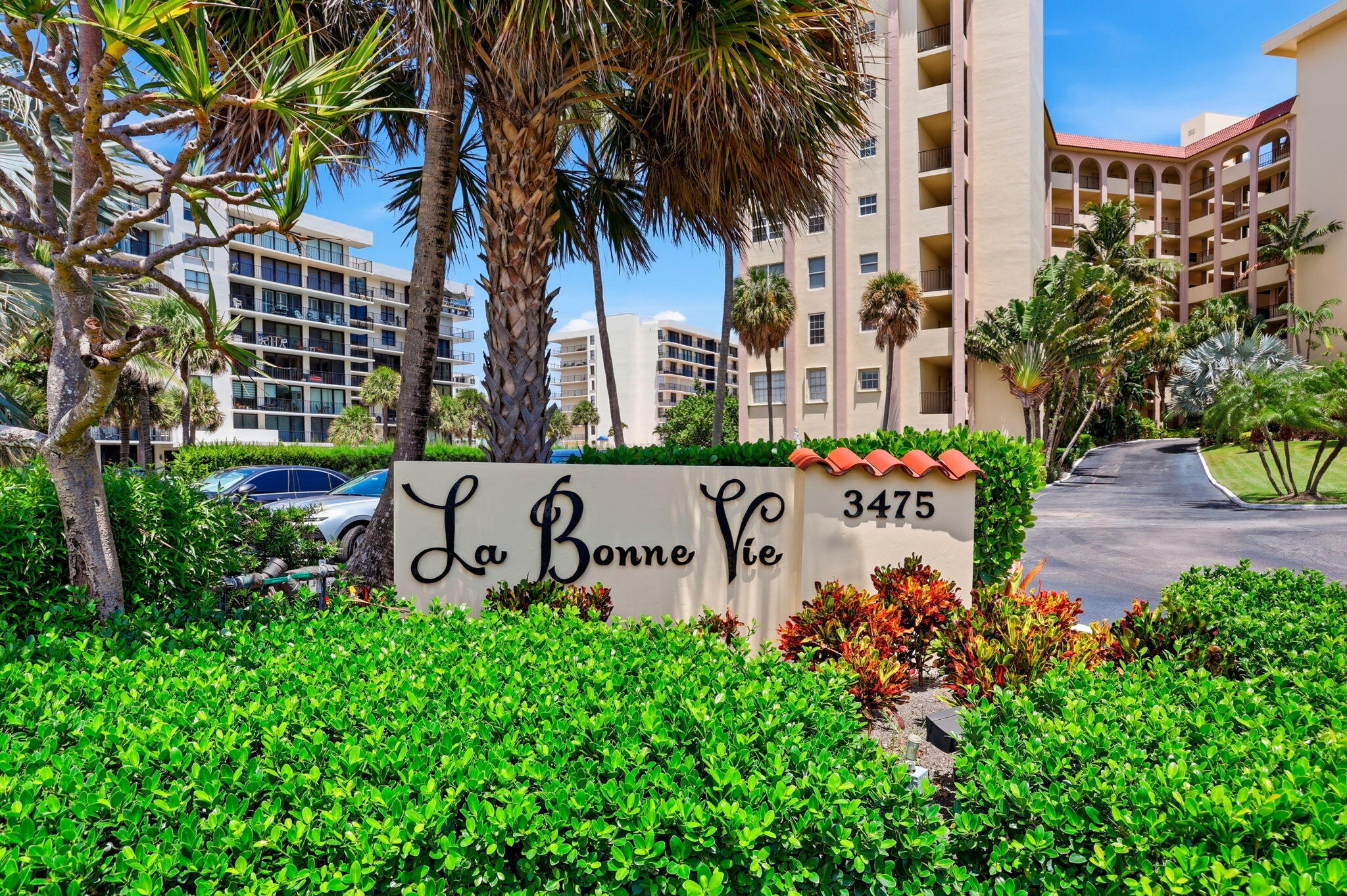 Palm Beach photo 3