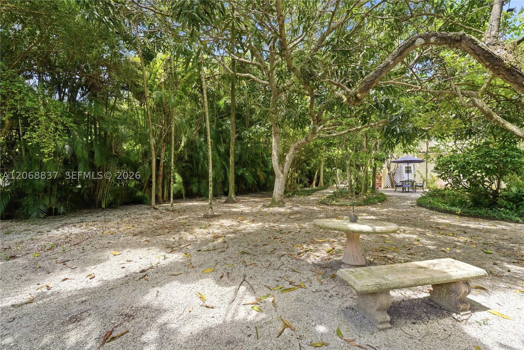 Coral Gables photo 4