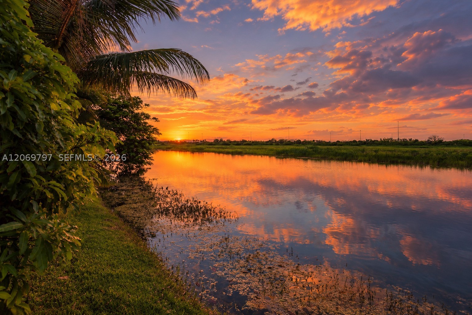 Pembroke Pines photo 3