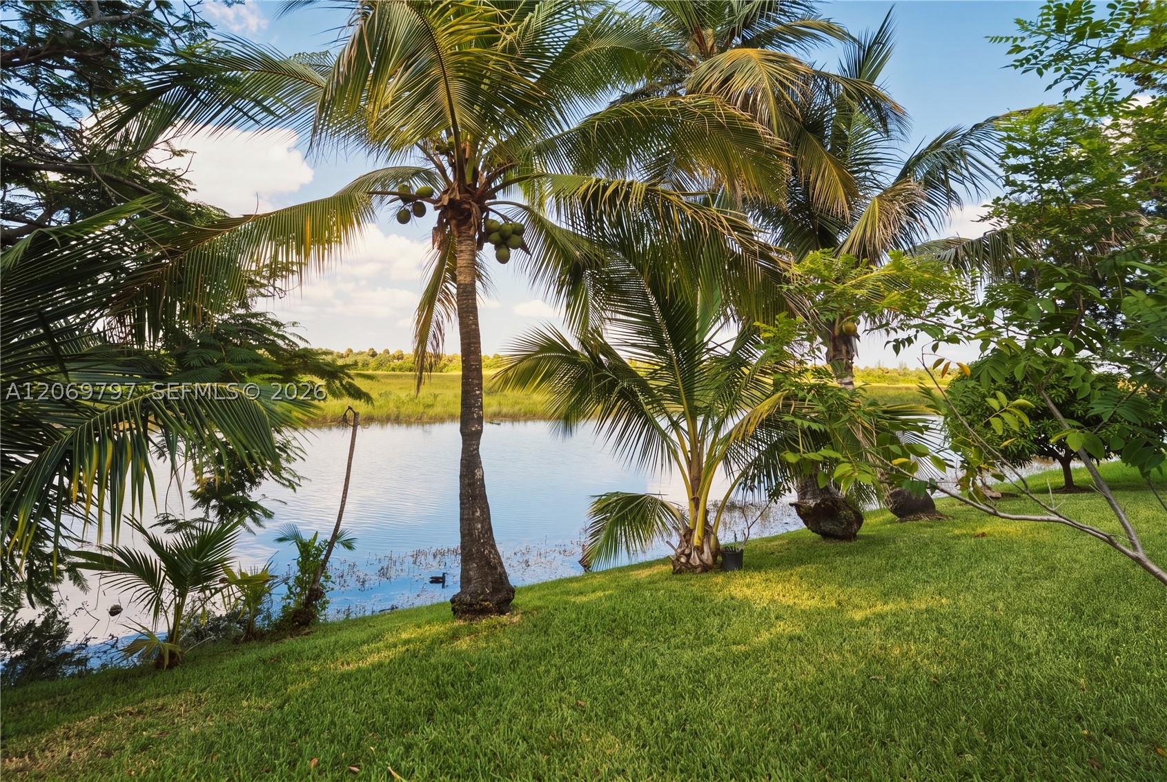 Pembroke Pines photo 2