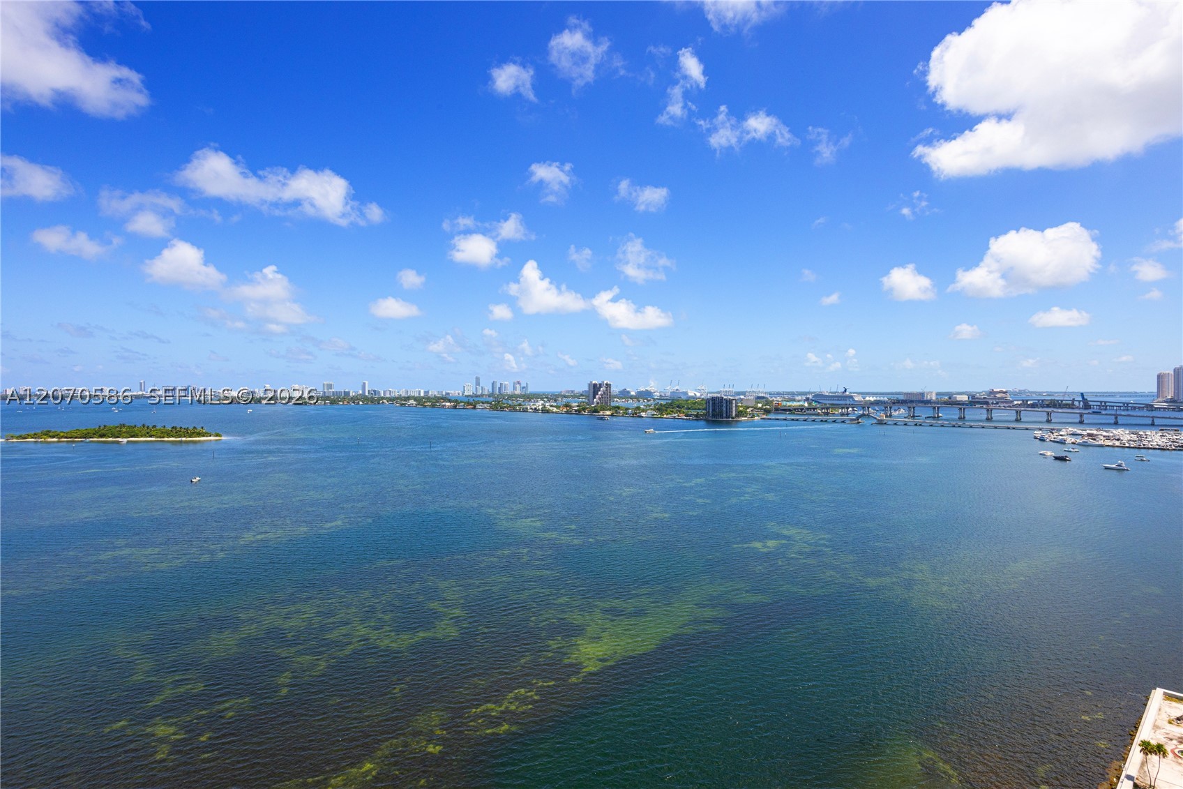 Miami photo 5