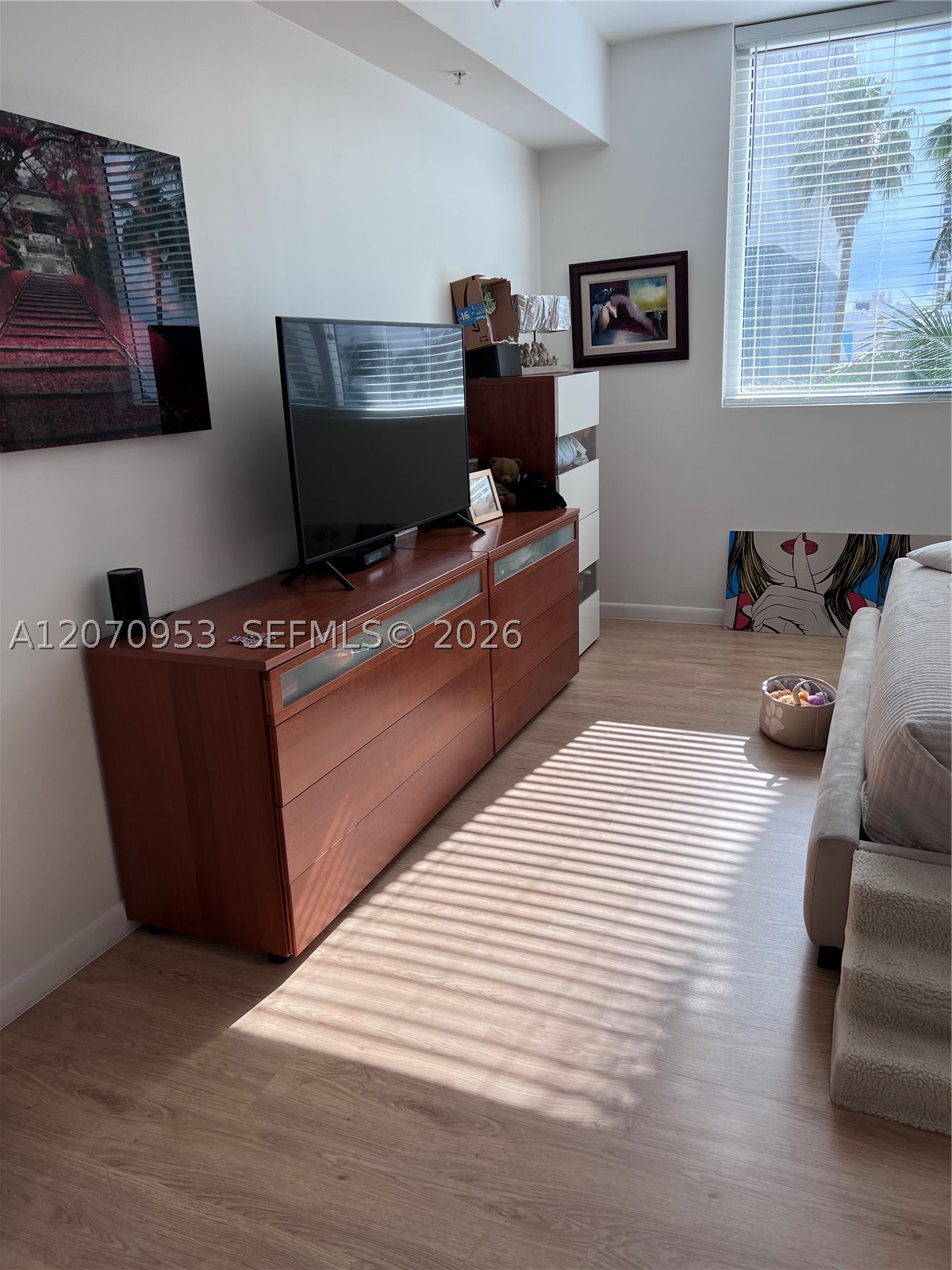 Miami photo 5
