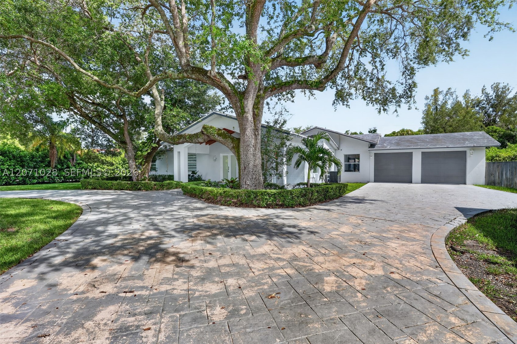 Miami photo 3