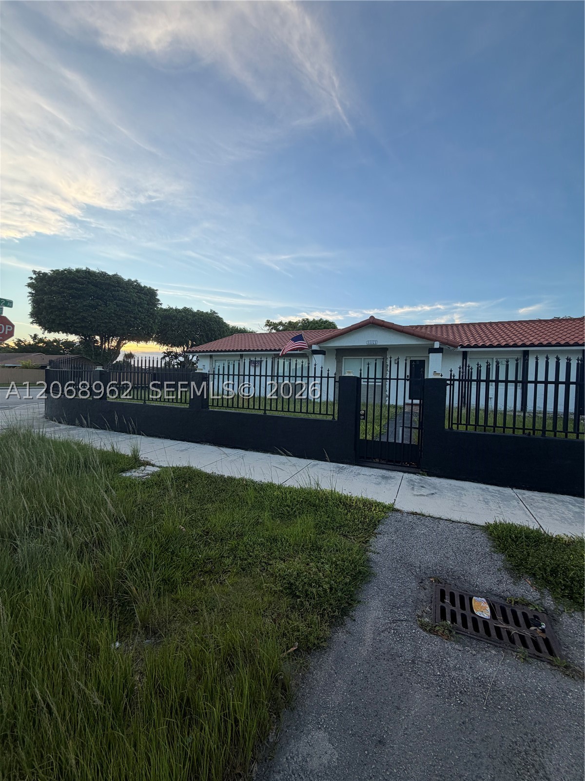 Miami photo 2