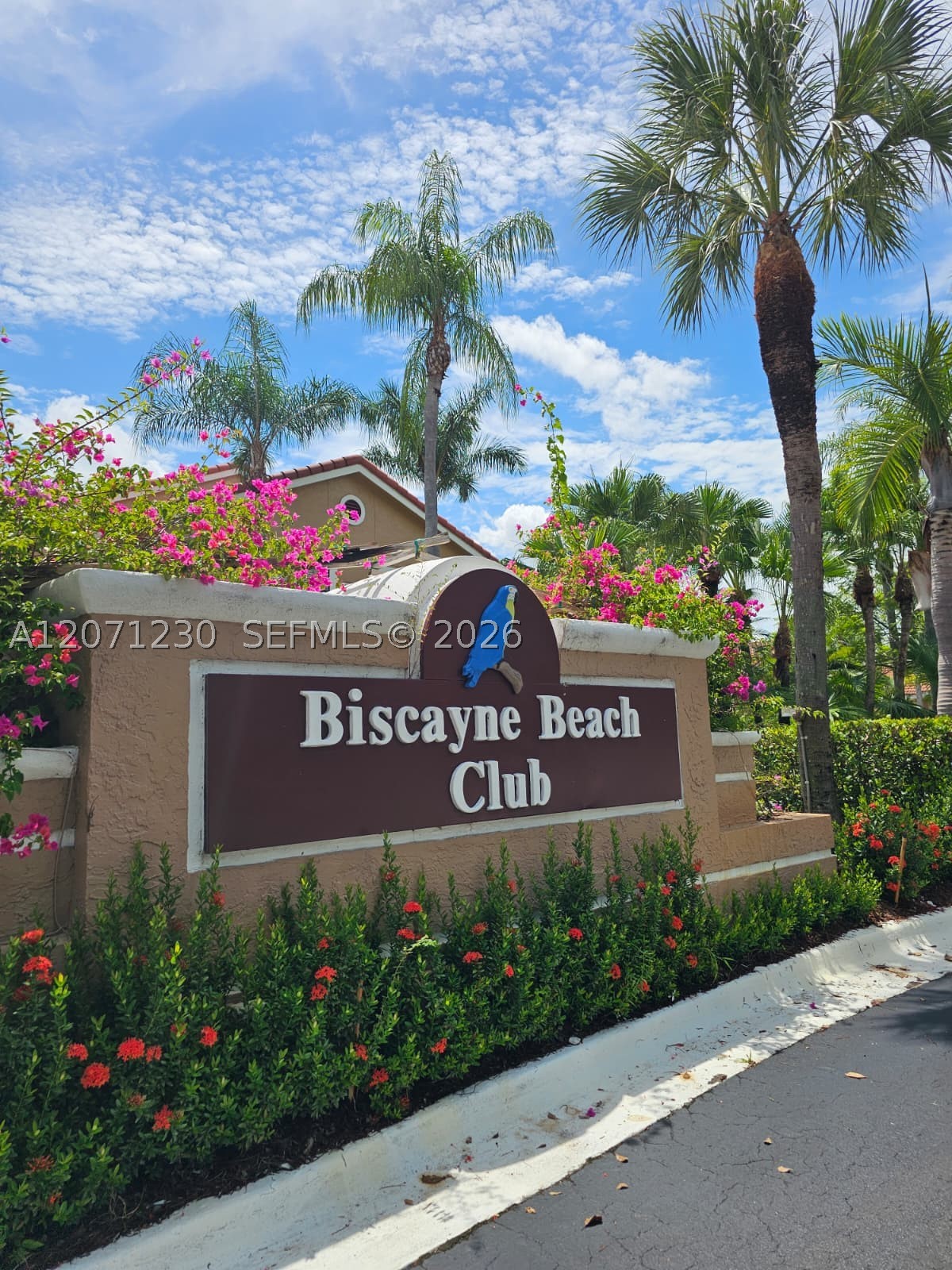 Miami photo 4