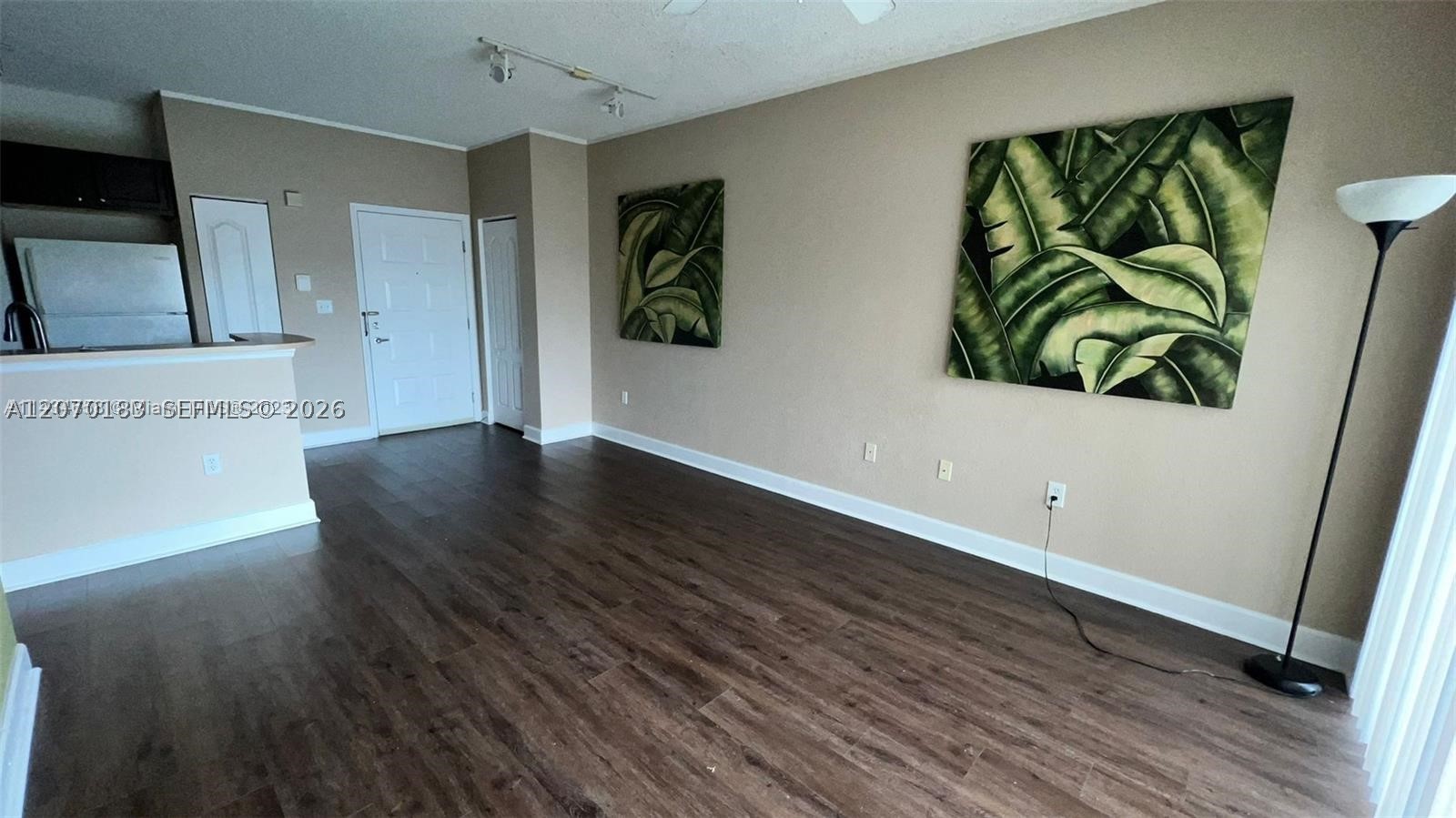 South Miami photo 5