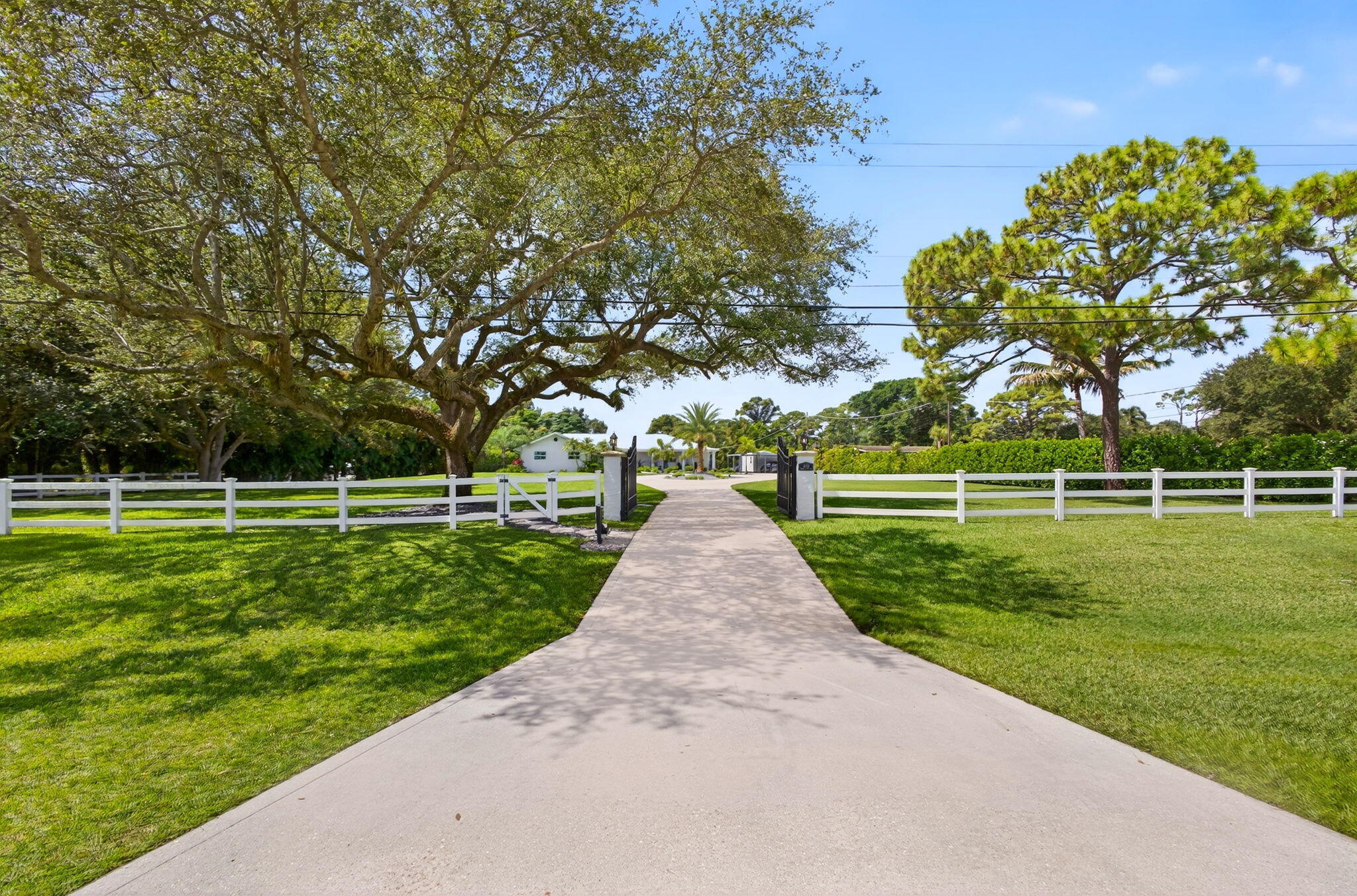 Palm Beach Gardens photo 5