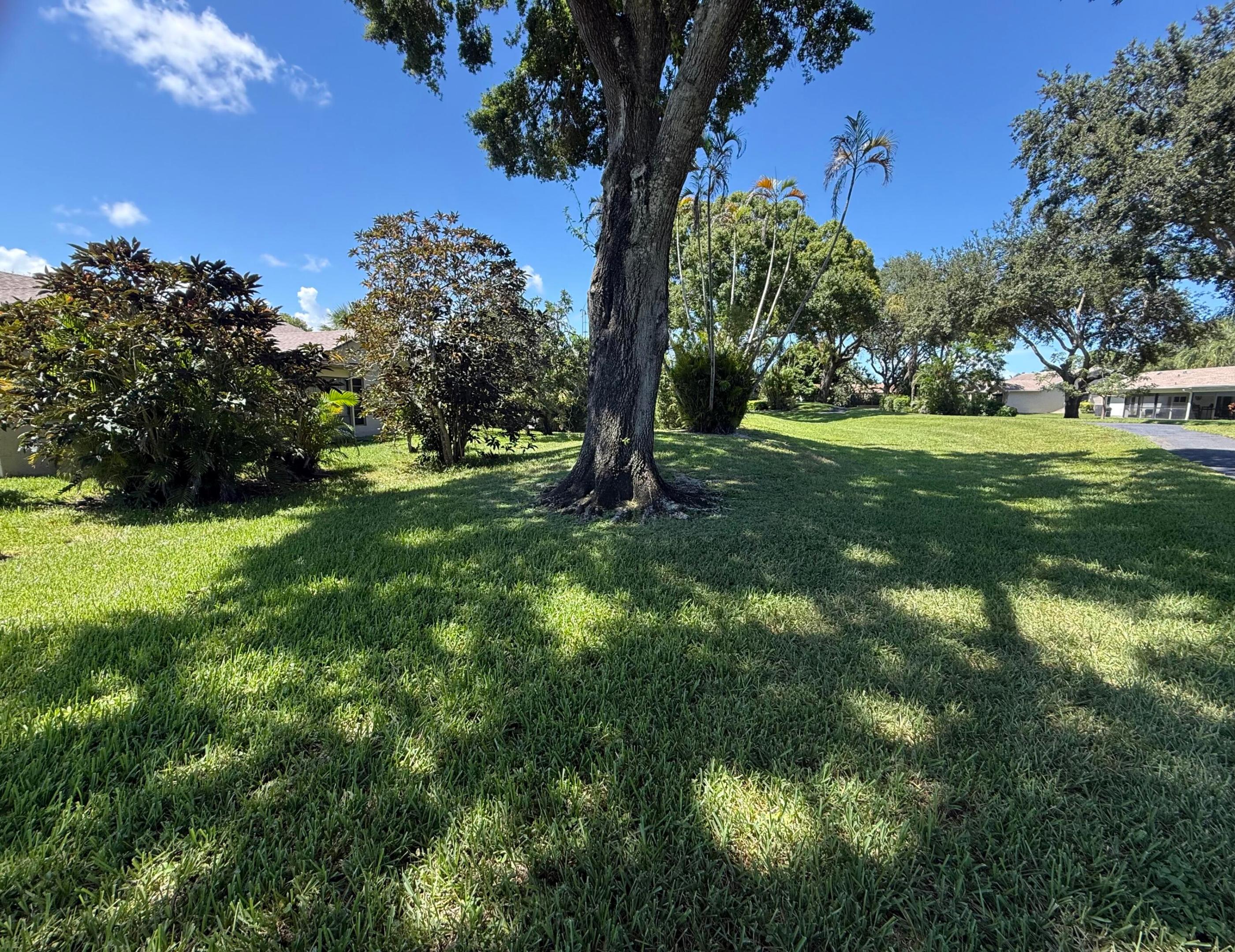 Boca Raton photo 4