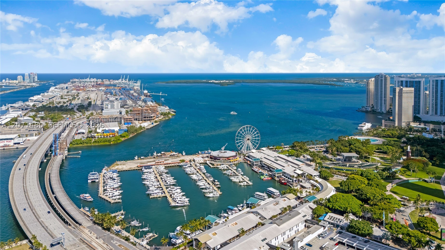 Miami photo 3