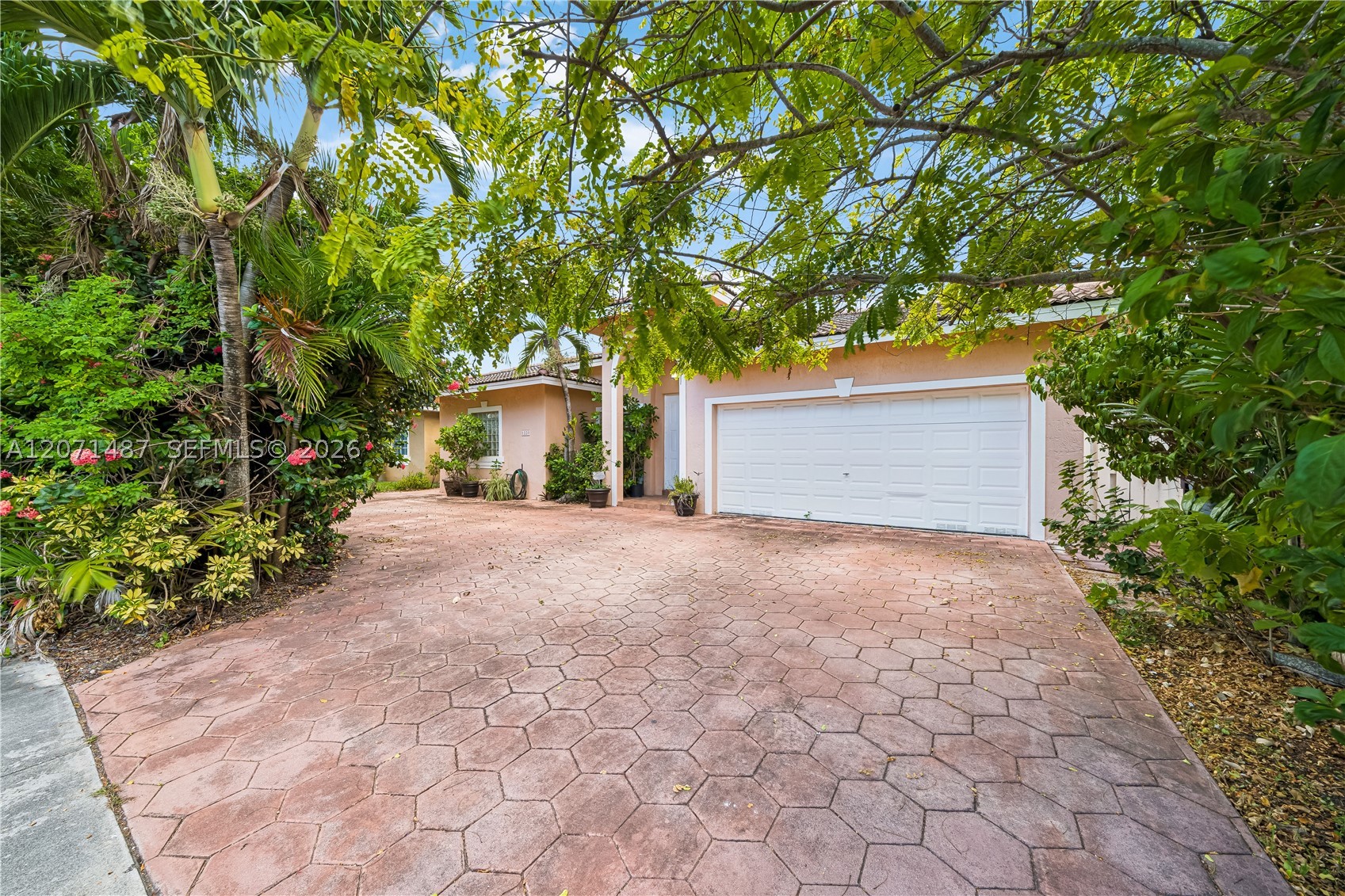 Miami photo 4