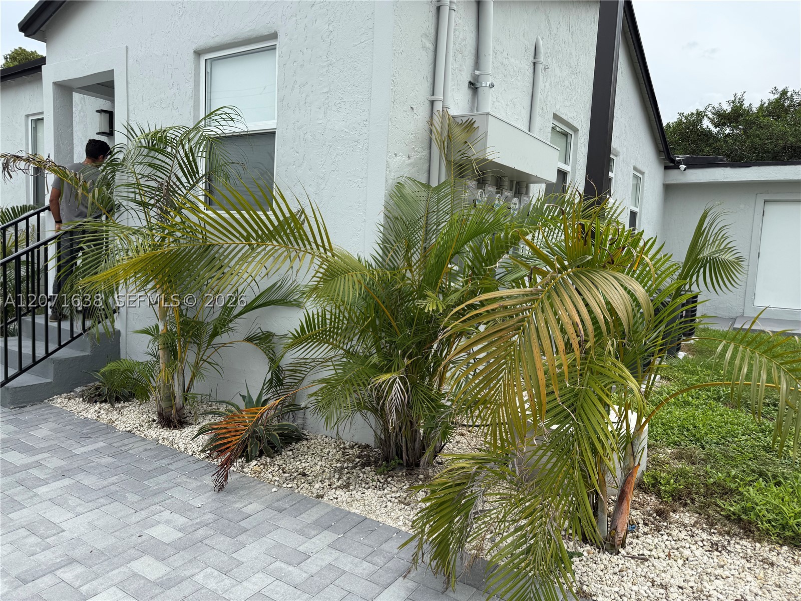 Miami photo 1