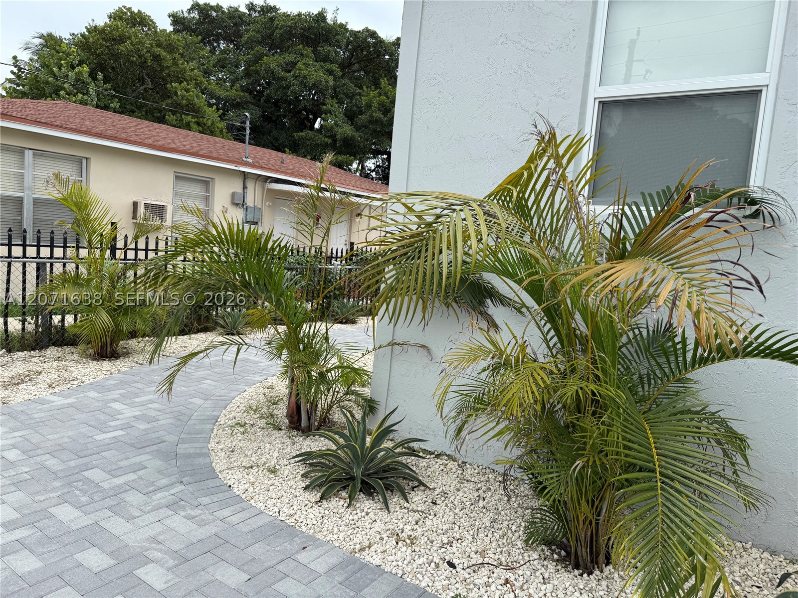 Miami photo 4