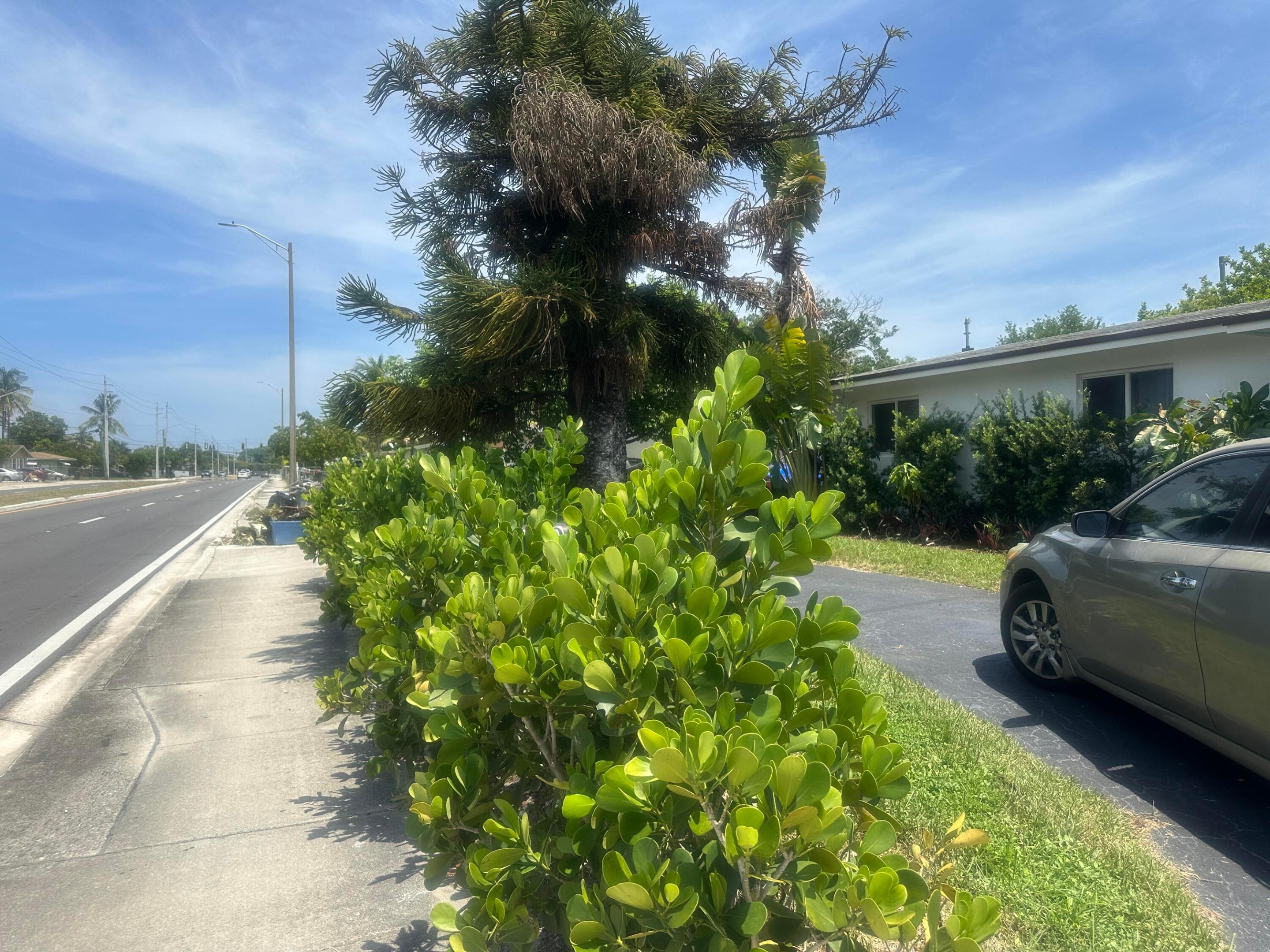Fort Lauderdale photo 3