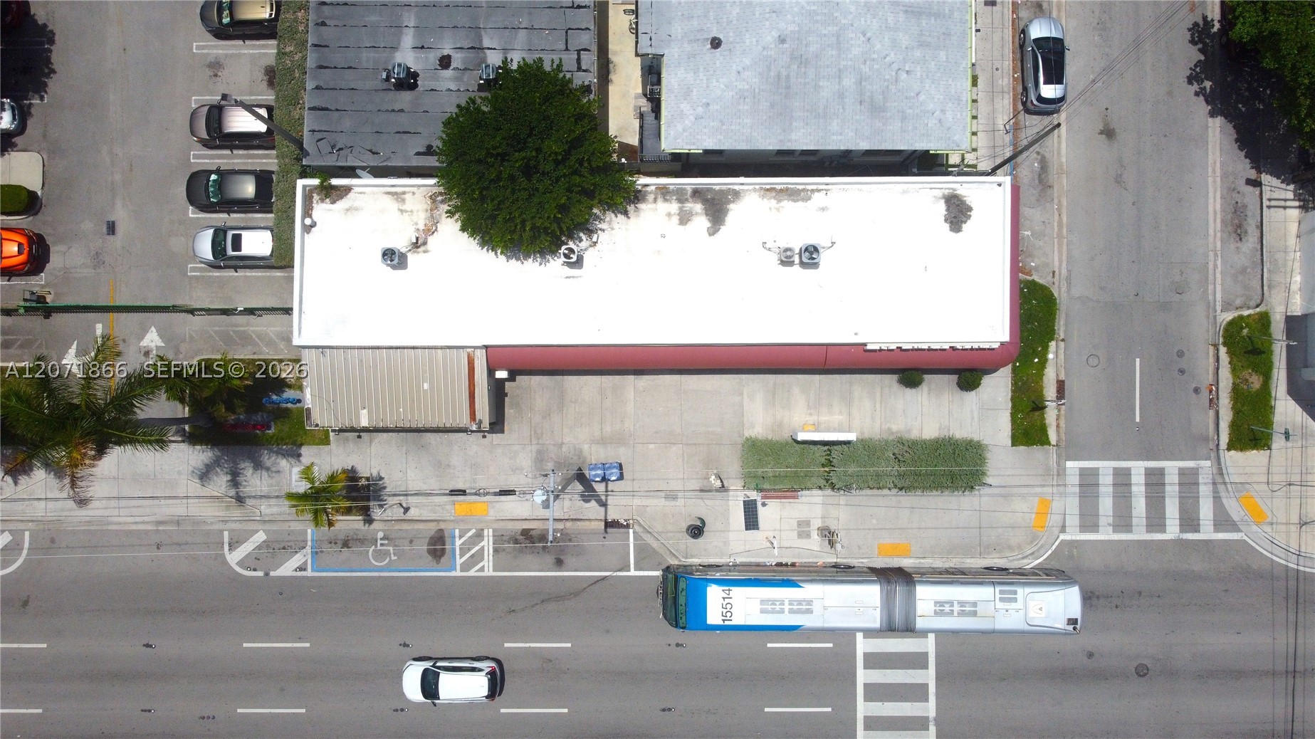 Miami photo 5