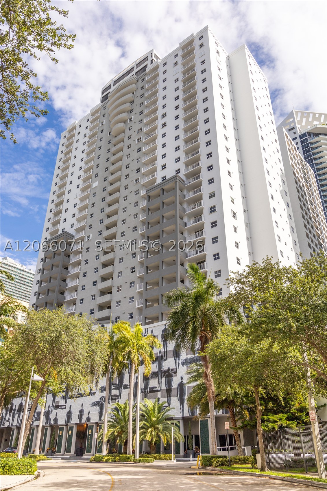 Miami photo 4