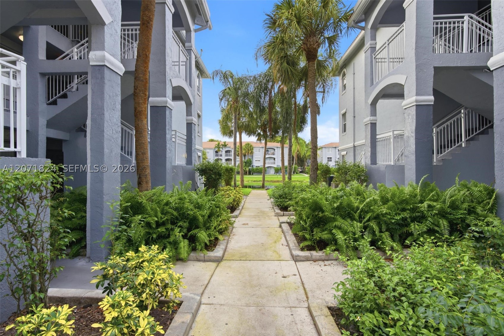Pembroke Pines photo 4