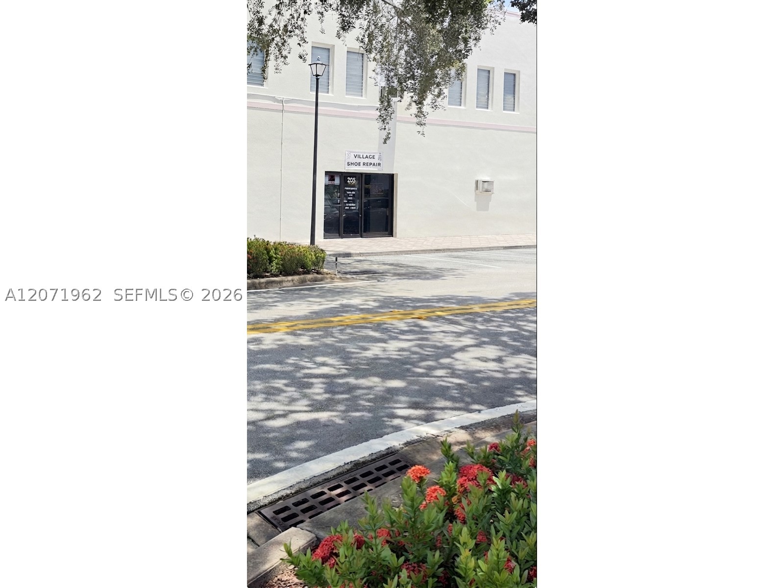 Miami Shores photo 3