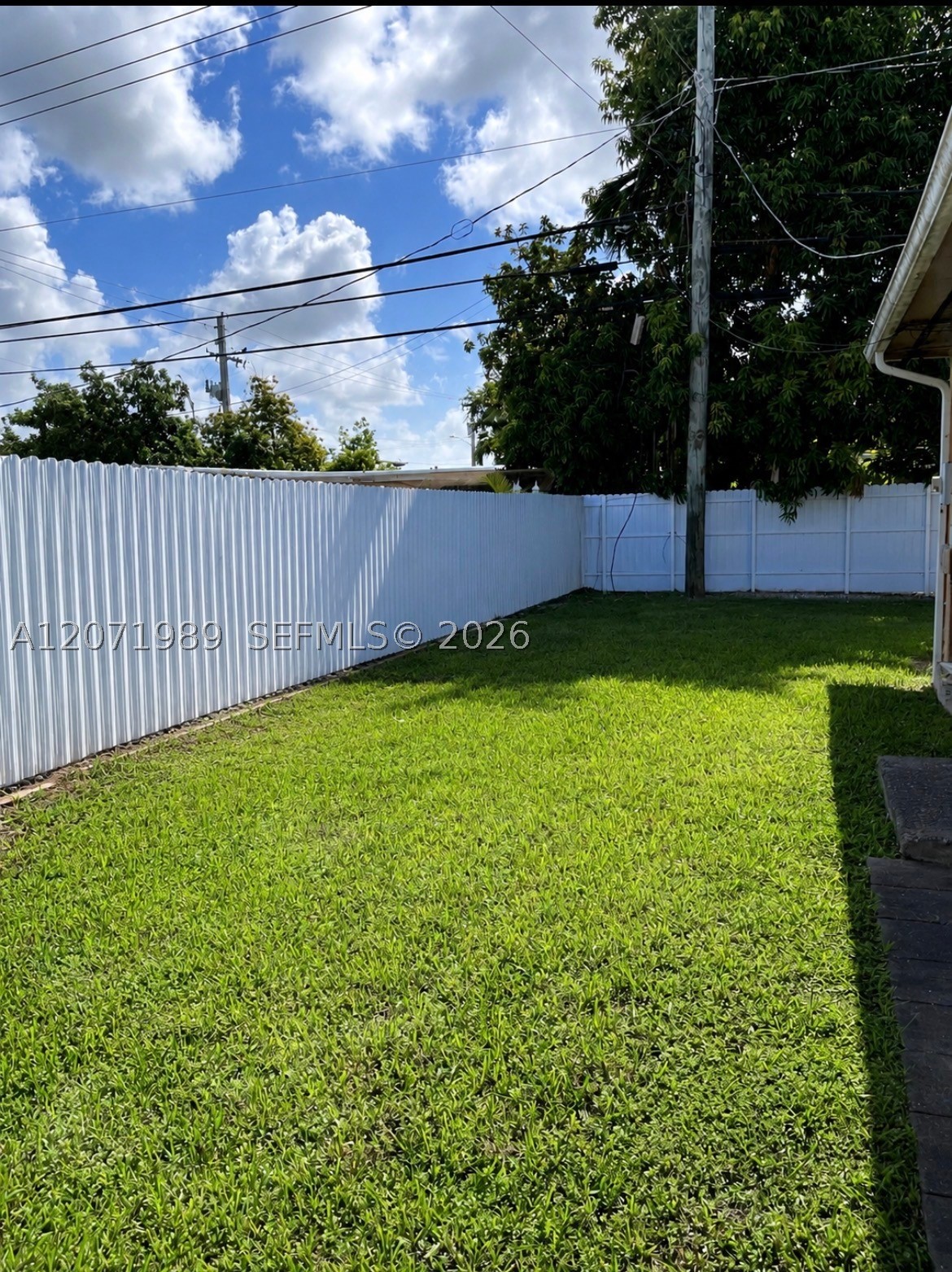 Miami photo 4