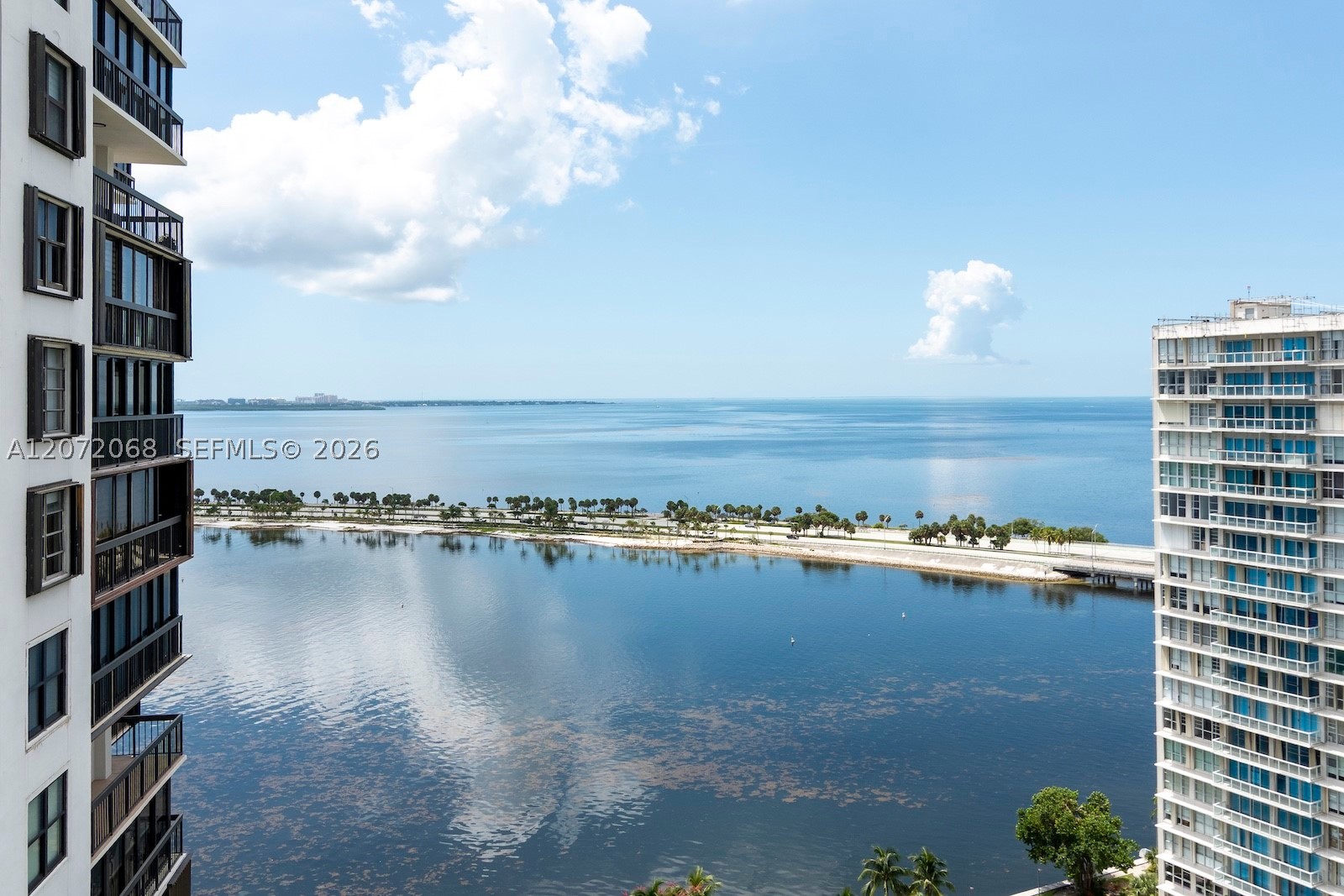 Miami photo 5