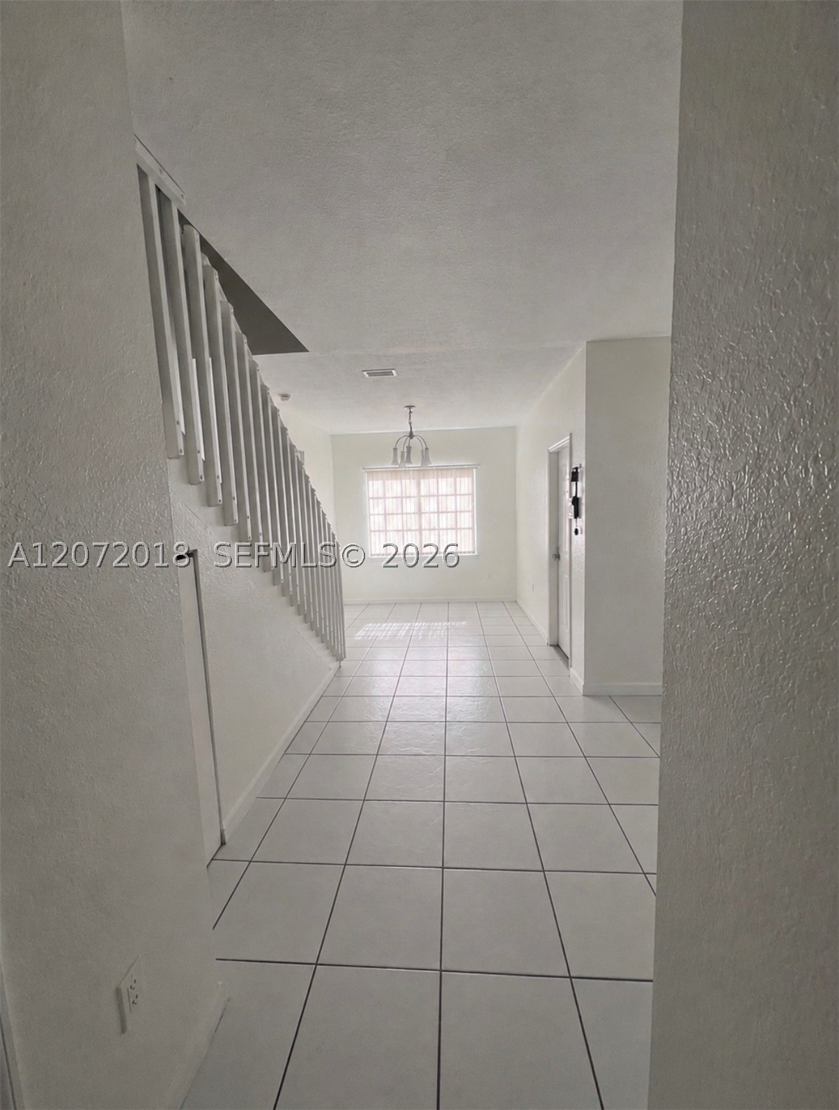 Miami photo 2