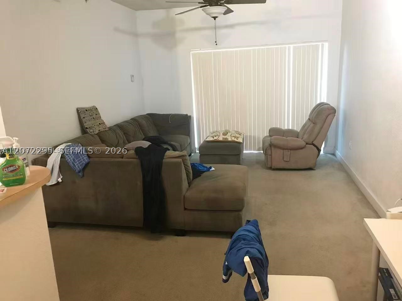 South Miami photo 3