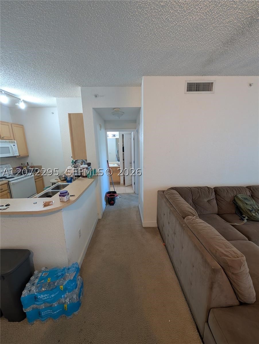 South Miami photo 4