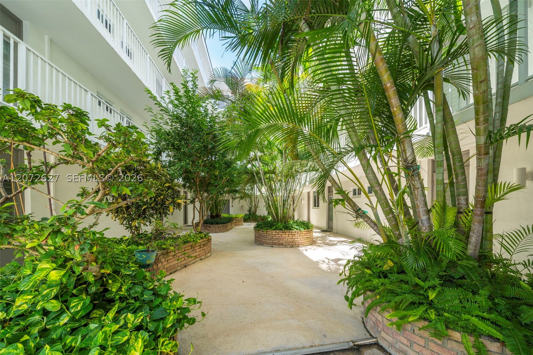 Miami Beach photo 2