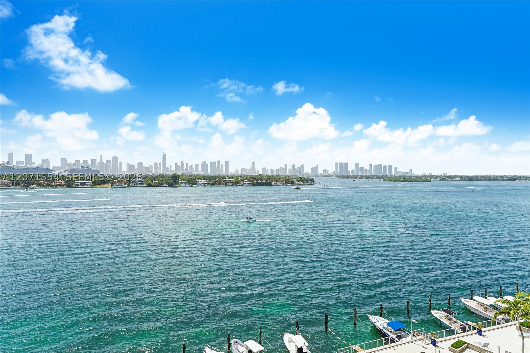 Miami Beach photo 3