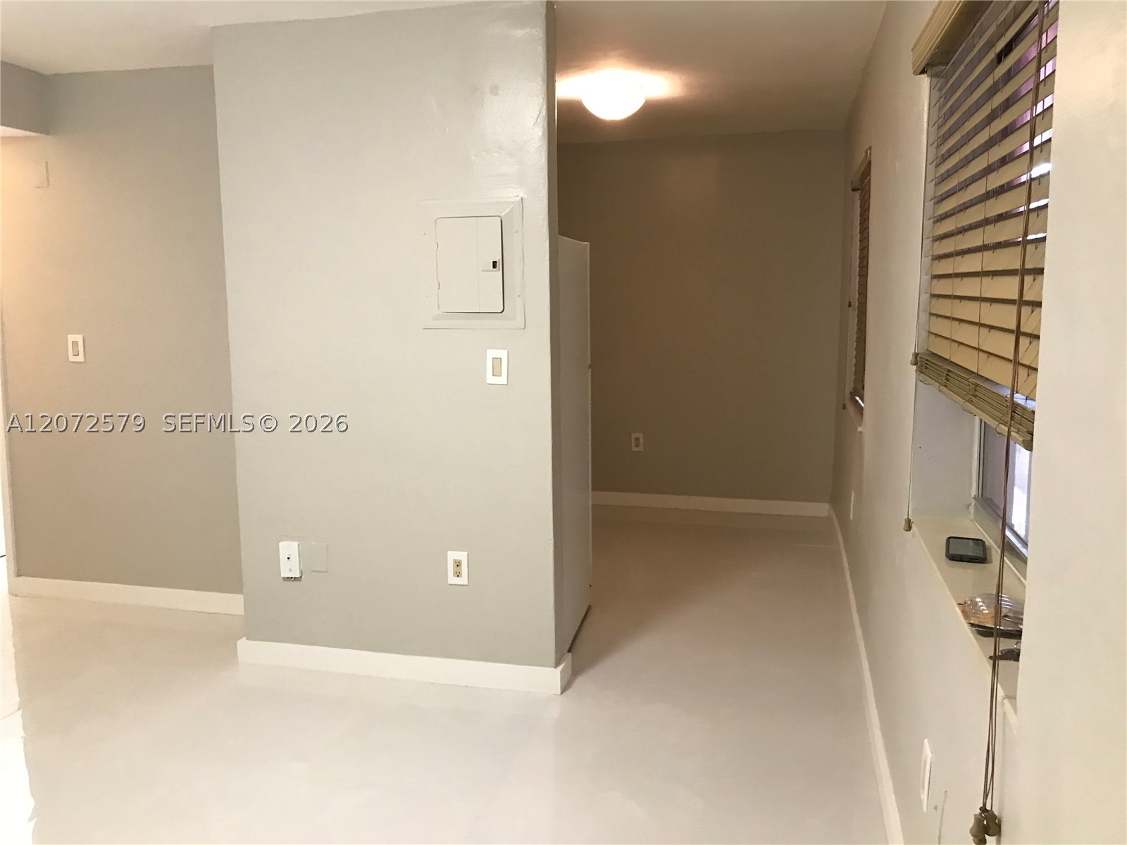 Miami photo 4