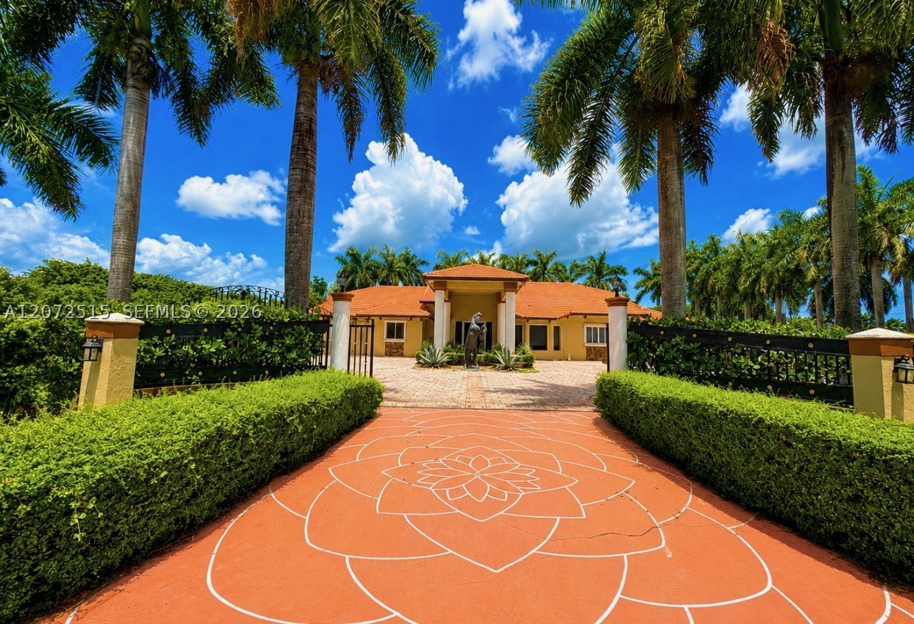 Miami photo 1