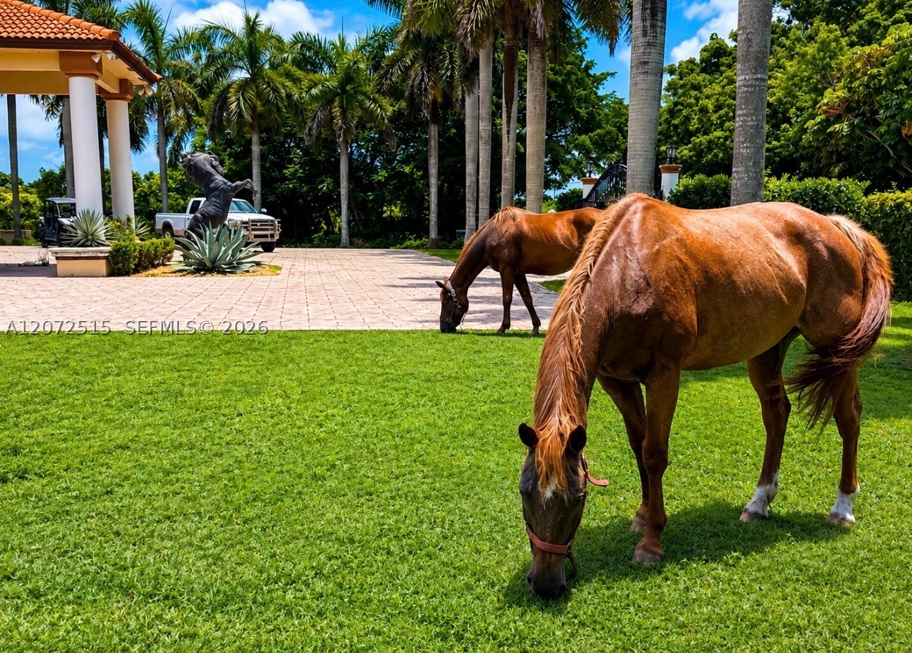 Miami photo 3