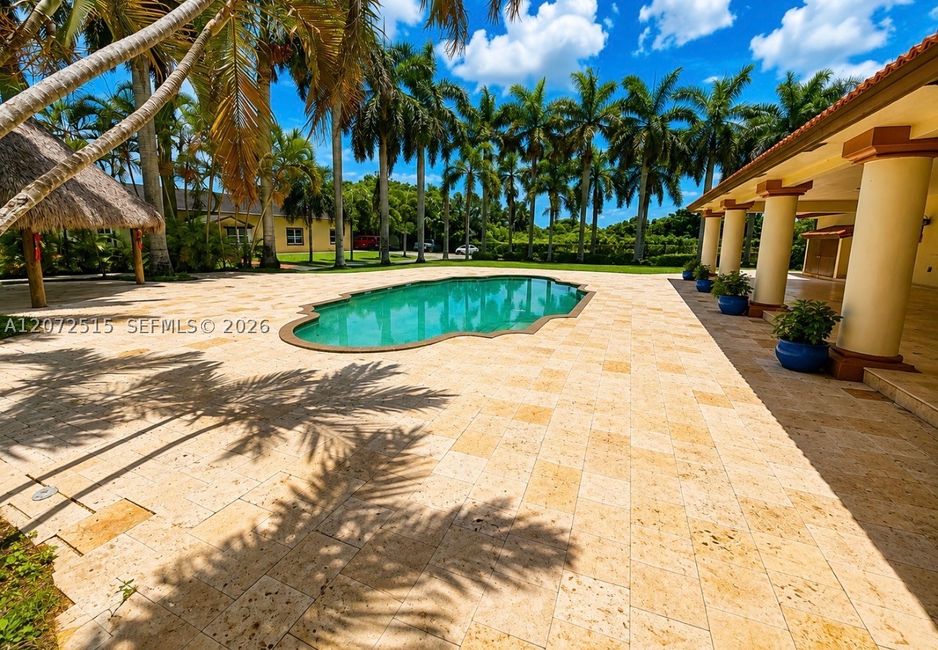 Miami photo 4
