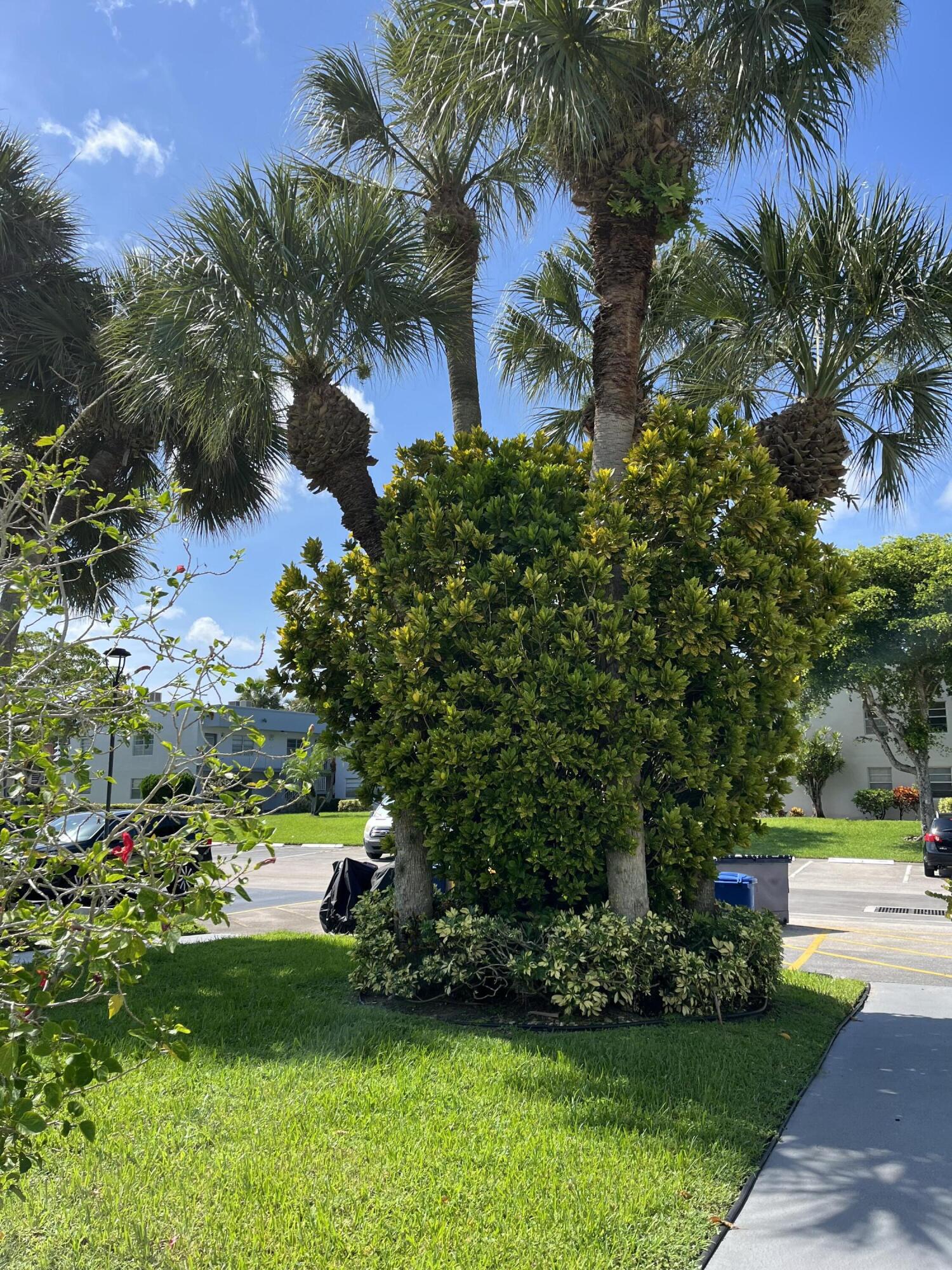 Delray Beach photo 3