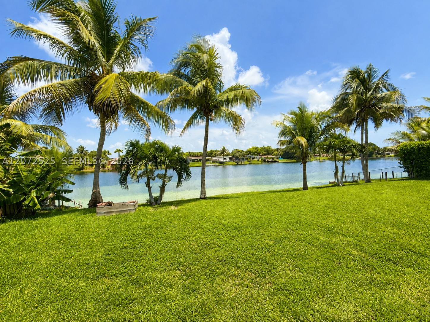 Miami photo 5