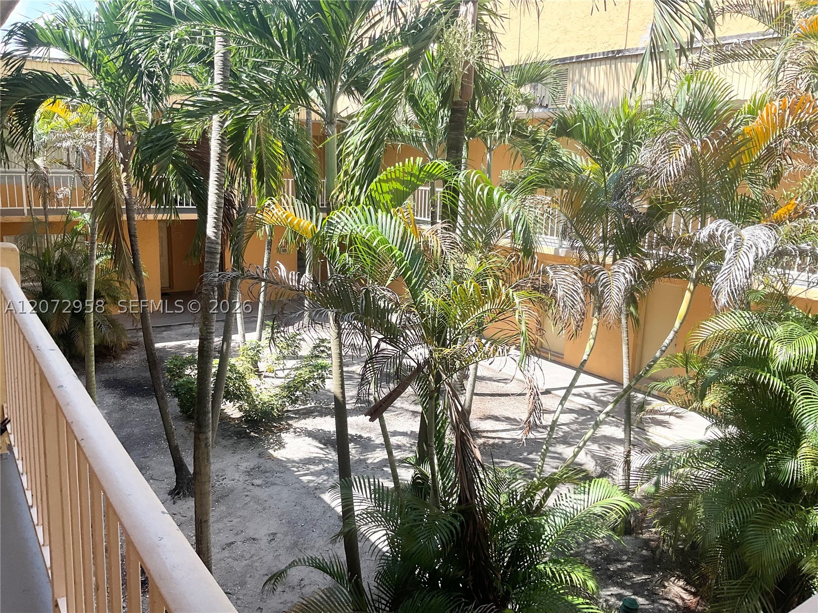 Hialeah photo 2