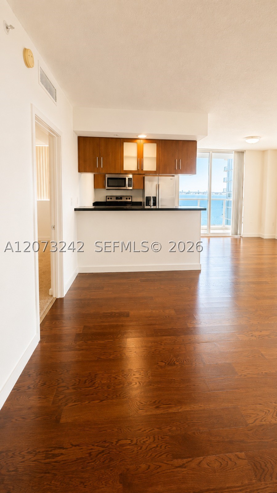 Miami photo 5