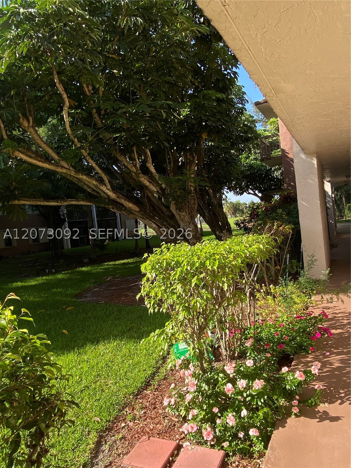 Davie photo 4