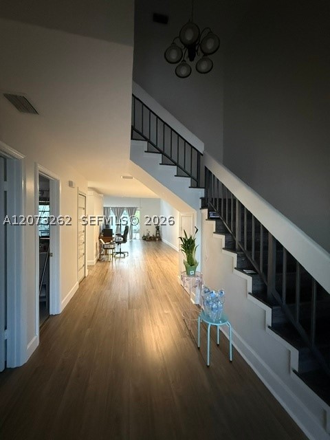 Miami photo 3