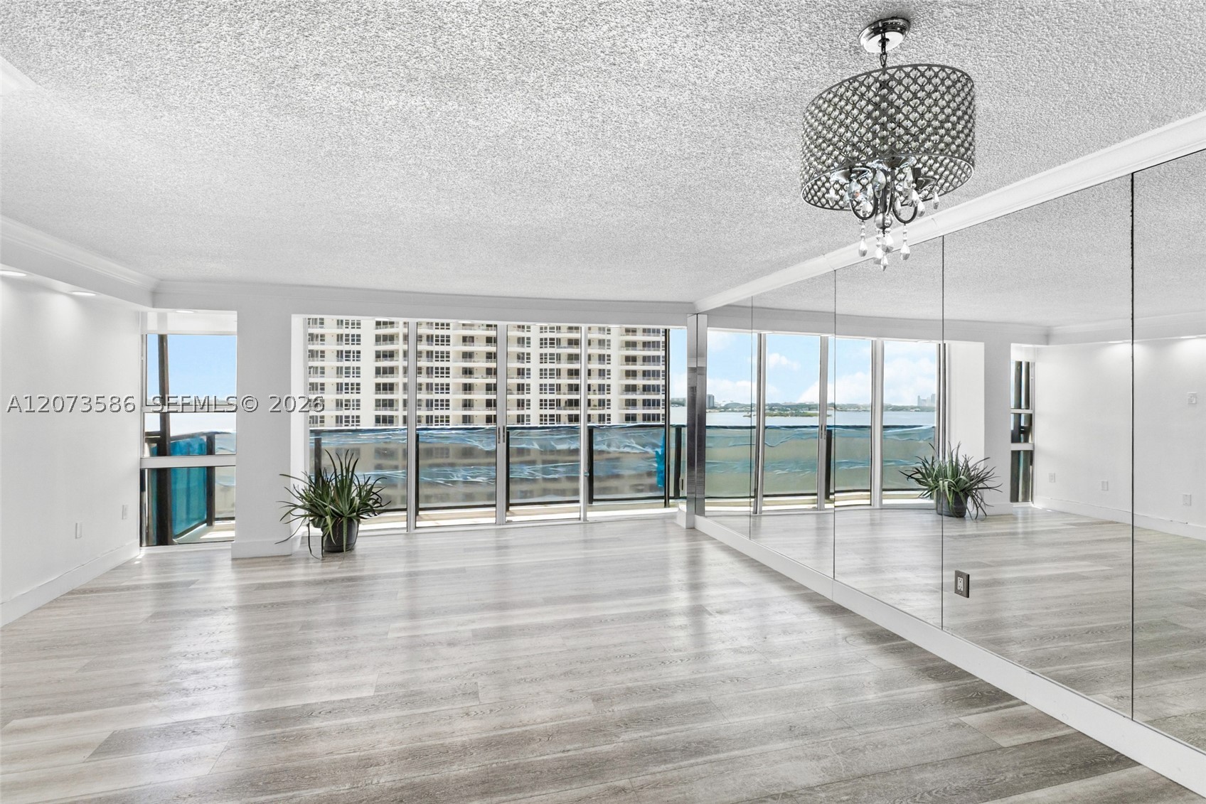 Miami photo 3
