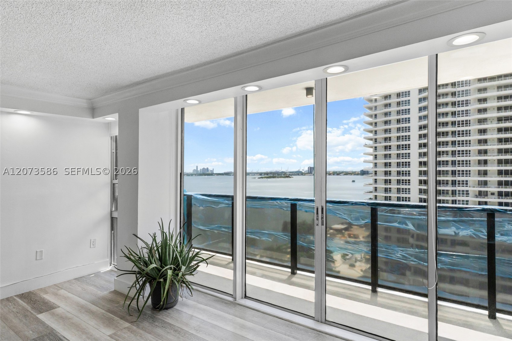 Miami photo 4