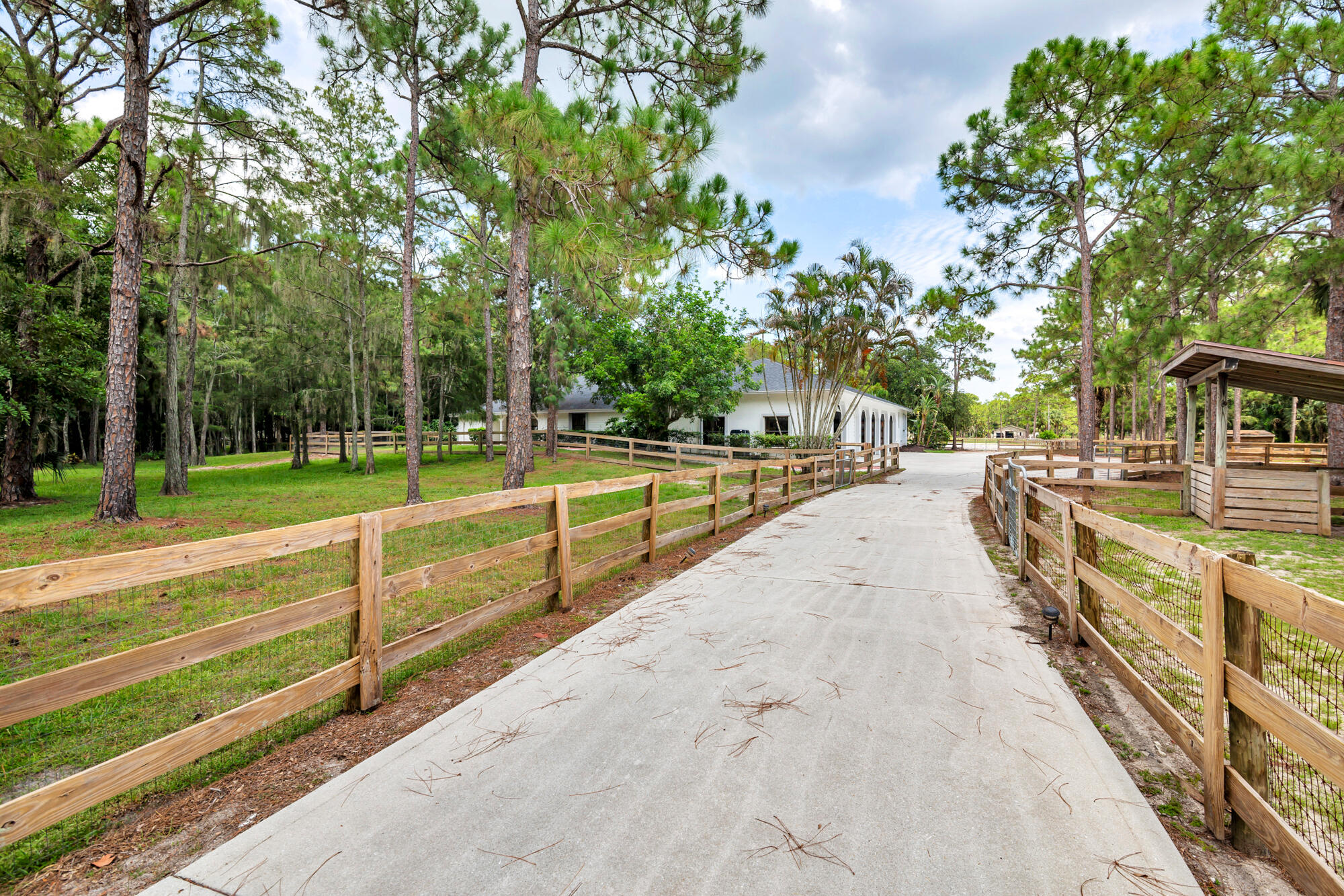 Palm Beach Gardens photo 2