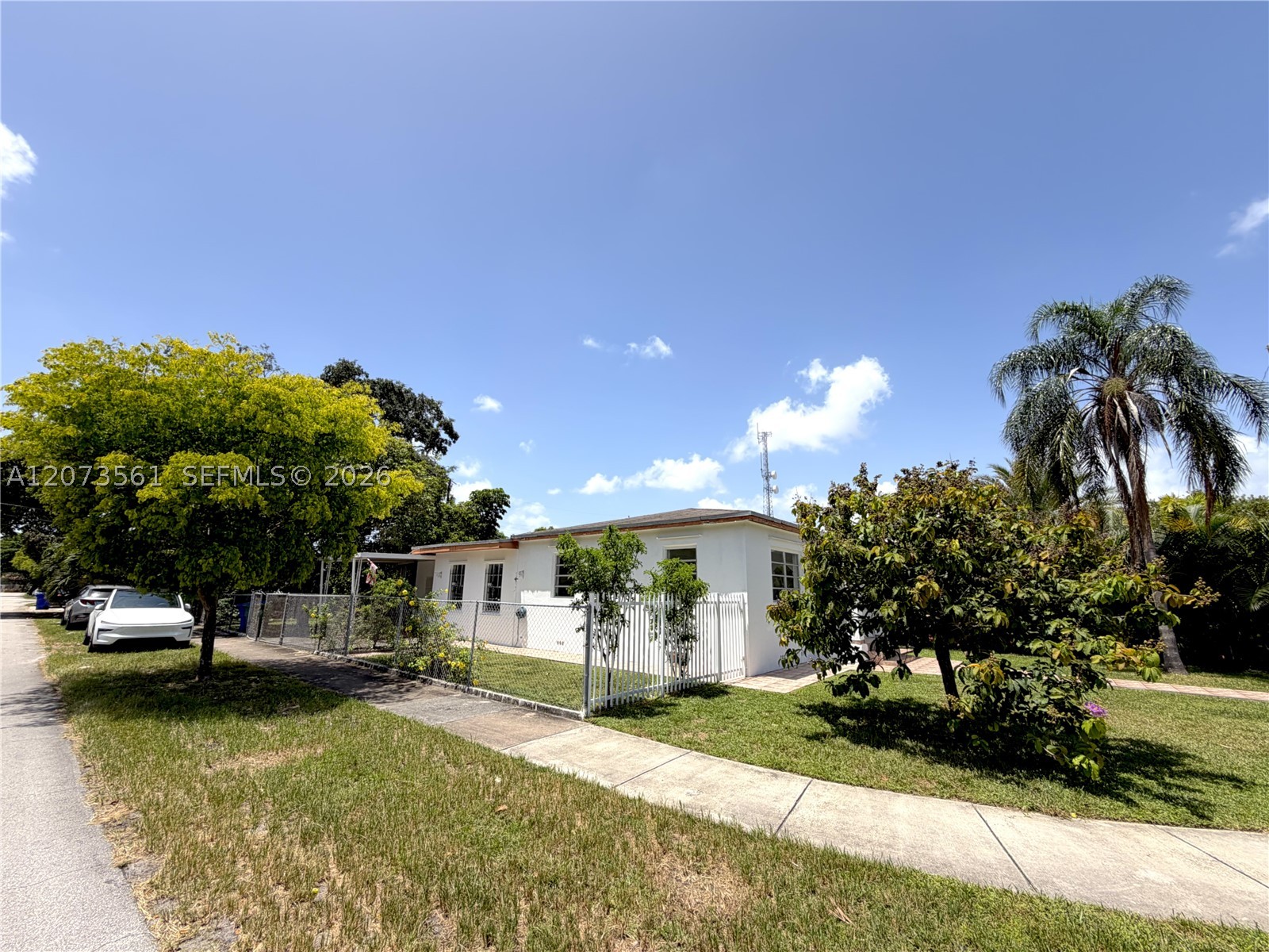 Miami photo 3